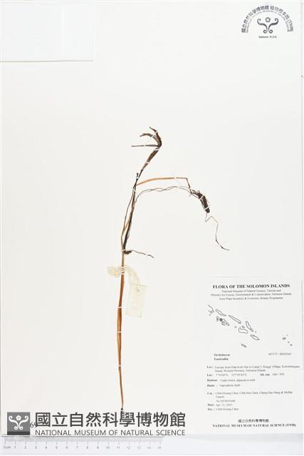 登錄號:BS02569藏品圖，第1張