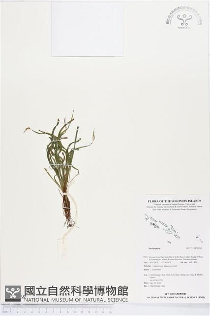 登錄號:BP00569藏品圖，第1張