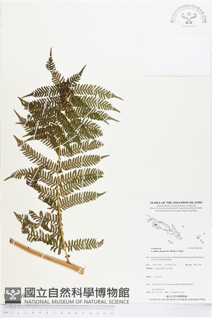 登錄號:BP01569藏品圖，第1張