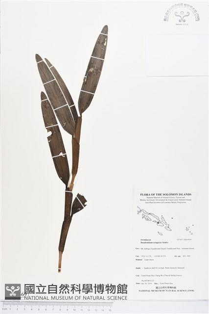 登錄號:BS04569藏品圖，第1張