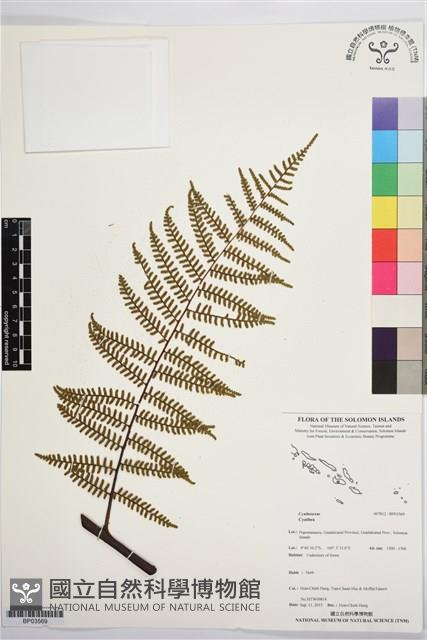 登錄號:BP03569藏品圖，第1張