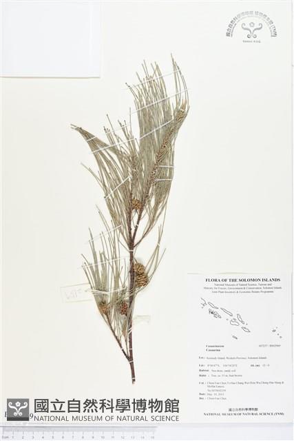 登錄號:BS02969藏品圖，第1張