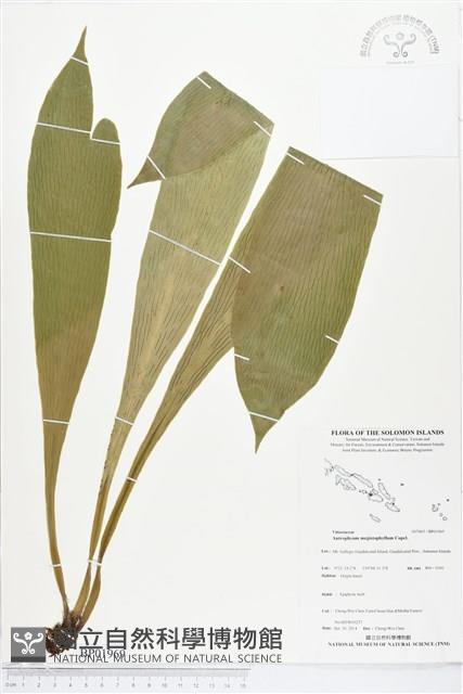 登錄號:BP01969藏品圖，第1張