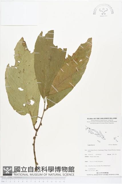 登錄號:BS04969藏品圖，第1張