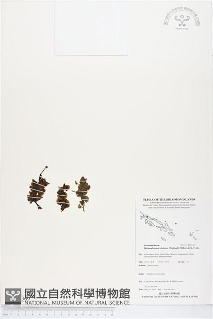 登錄號:BP02369藏品圖，第1張