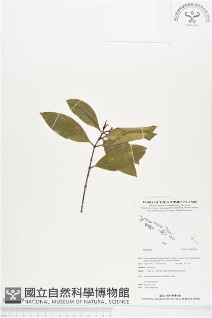 登錄號:BS01369藏品圖，第1張