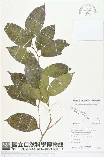 登錄號:BS02849藏品圖，第1張