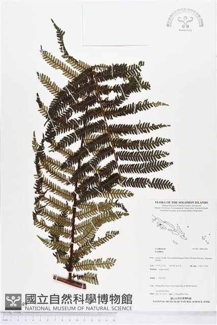 登錄號:BP01849藏品圖，第1張