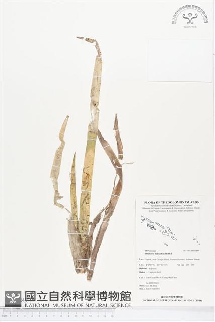 登錄號:BS01849藏品圖，第1張