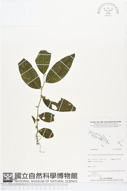 登錄號:BS04849藏品圖，第1張