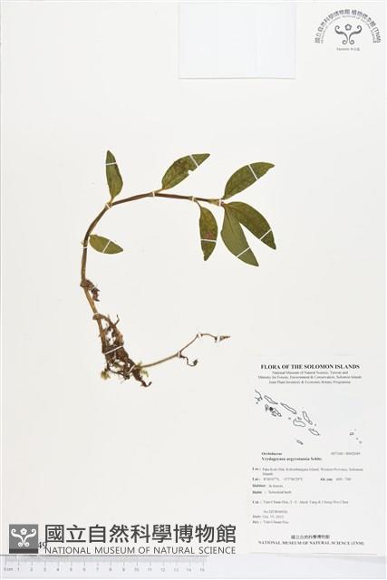 登錄號:BS02049藏品圖，第1張