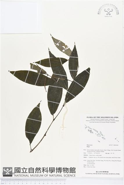 登錄號:BS03049藏品圖，第1張