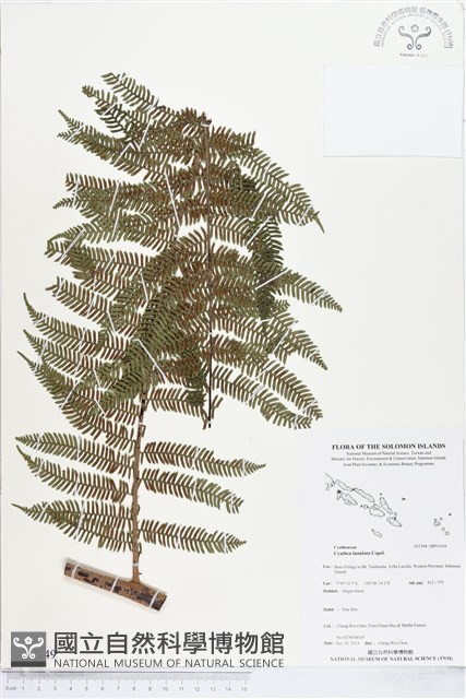 登錄號:BP01649藏品圖，第1張