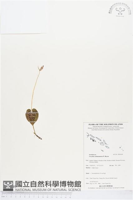 登錄號:BS03649藏品圖，第1張