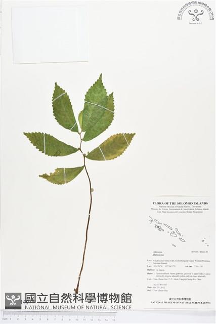 登錄號:BS02149藏品圖，第1張