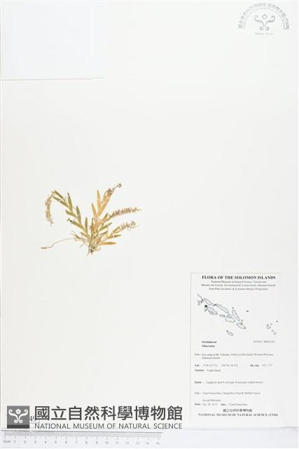 登錄號:BS04149藏品圖，第1張