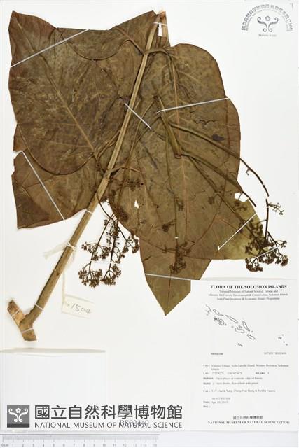 登錄號:BS02449藏品圖，第1張