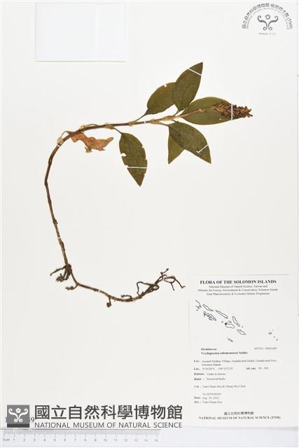 登錄號:BS01449藏品圖，第1張