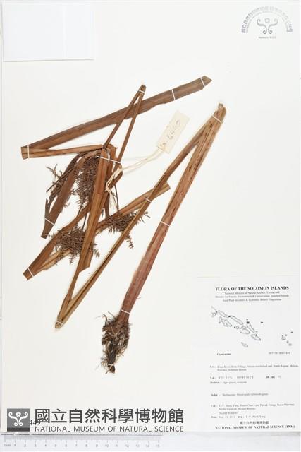 登錄號:BS05449藏品圖，第1張