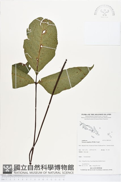 登錄號:BP02249藏品圖，第1張