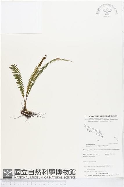 登錄號:BP01249藏品圖，第1張