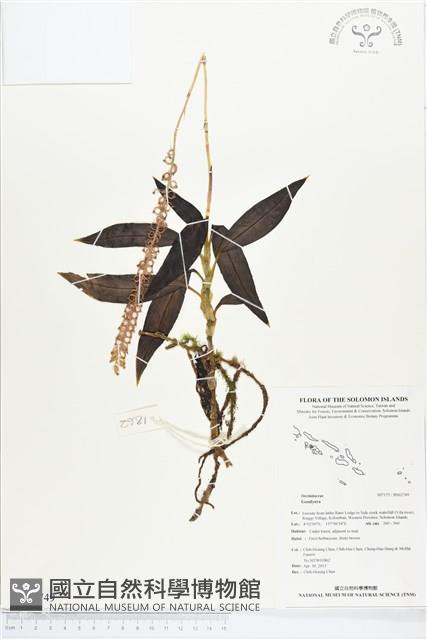 登錄號:BS02749藏品圖，第1張