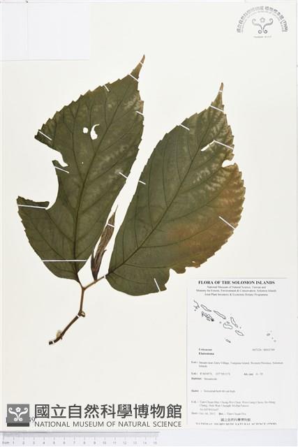 登錄號:BS03749藏品圖，第1張
