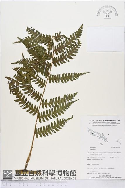 登錄號:BP01549藏品圖，第1張