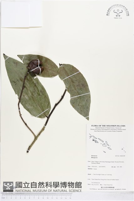 登錄號:BS03549藏品圖，第1張