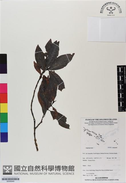 登錄號:BS06949藏品圖，第1張