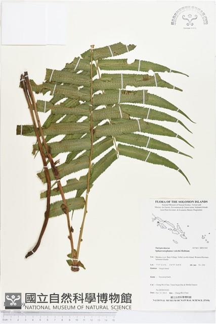 登錄號:BP01949藏品圖，第1張