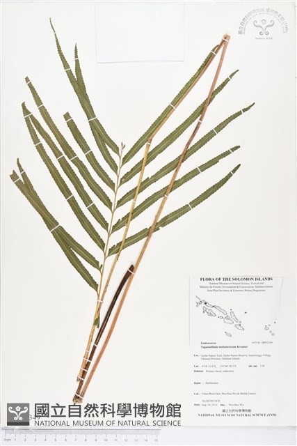 登錄號:BP02349藏品圖，第1張