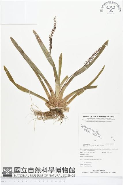 登錄號:BS01349藏品圖，第1張