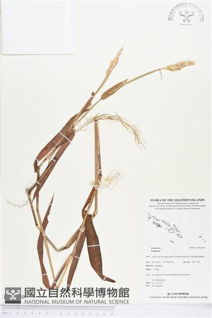 登錄號:BS03349藏品圖，第1張