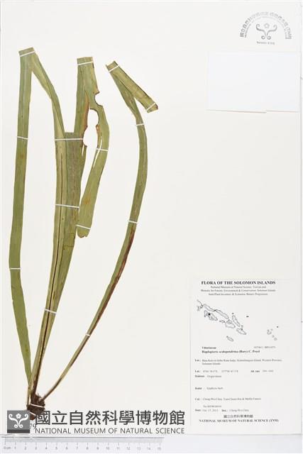 登錄號:BP01879藏品圖，第1張