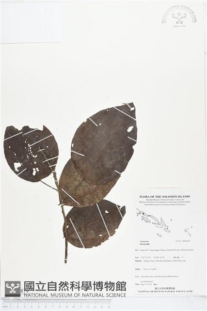 登錄號:BS04879藏品圖，第1張