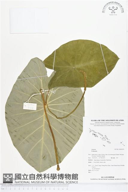 登錄號:BS02079藏品圖，第1張