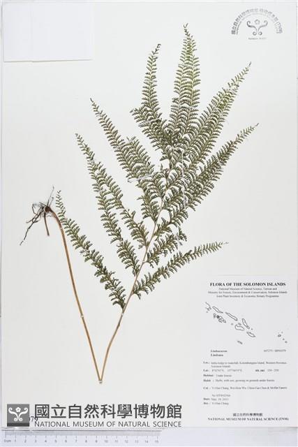 登錄號:BP01079藏品圖，第1張