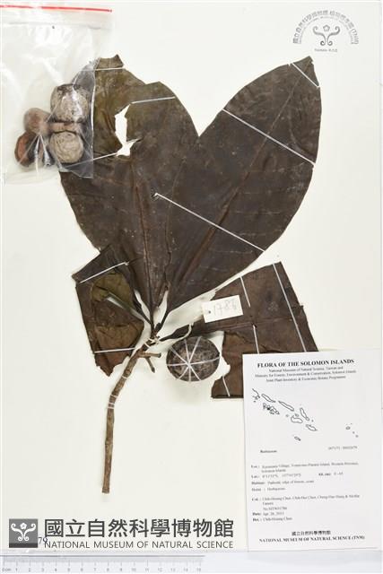 登錄號:BS02679藏品圖，第1張