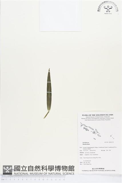 登錄號:BS02179藏品圖，第1張