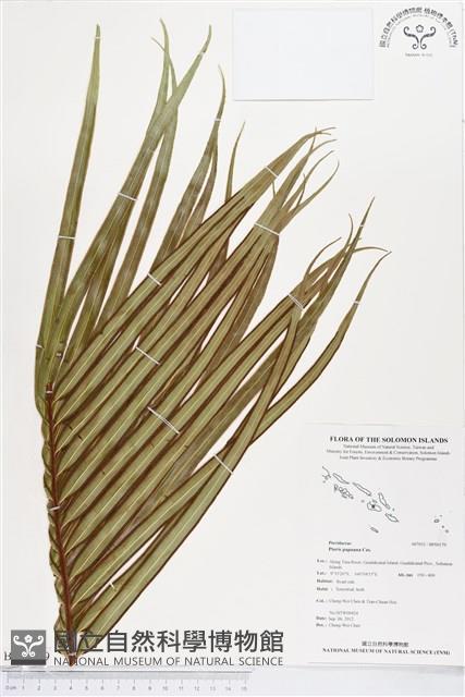 登錄號:BP00179藏品圖，第1張