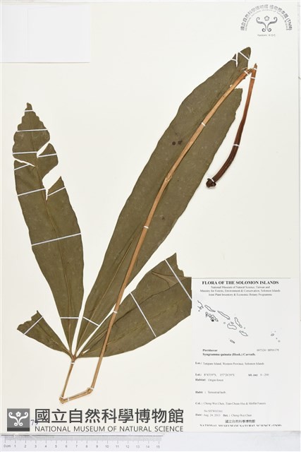 登錄號:BP01179藏品圖，第1張