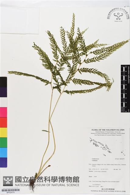 登錄號:BP02479藏品圖，第1張