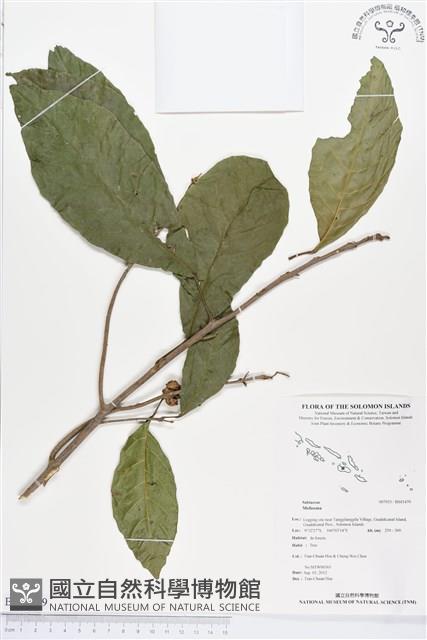 登錄號:BS01479藏品圖，第1張