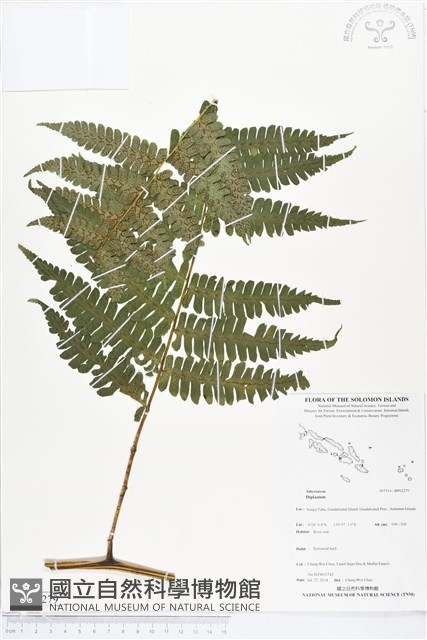 登錄號:BP02279藏品圖，第1張