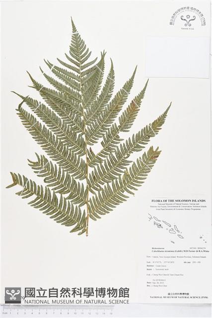 登錄號:BP00279藏品圖，第1張