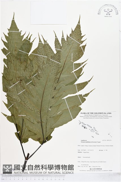 登錄號:BP01279藏品圖，第1張
