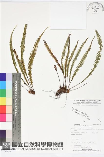 登錄號:BP02779藏品圖，第1張