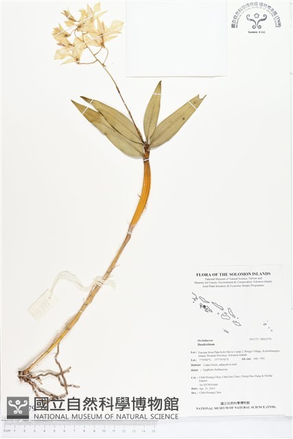 登錄號:BS02579藏品圖，第1張