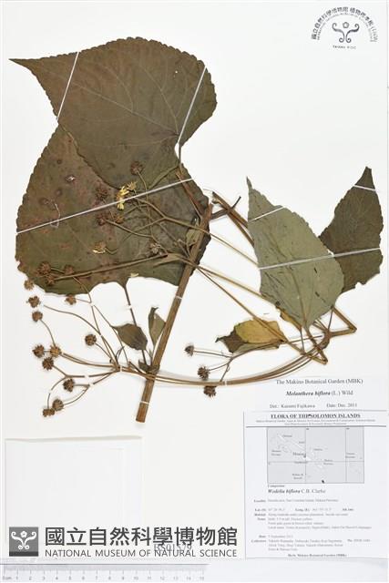 登錄號:BS01579藏品圖，第1張